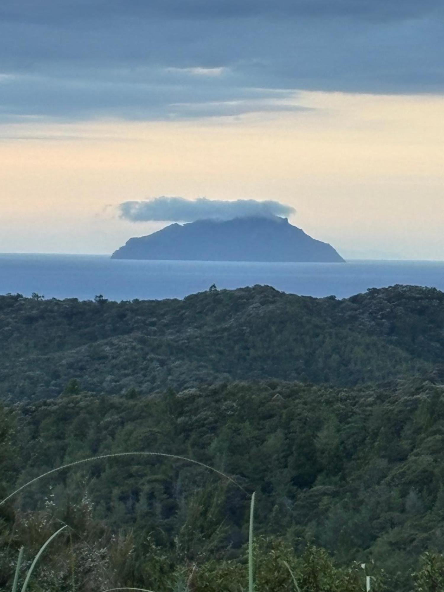Ruakaka Retreat Hotell Eksteriør bilde